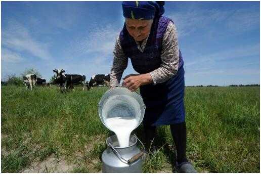 截止5月底,白俄罗斯已有近100家乳制品工厂和屠宰场受到影响.